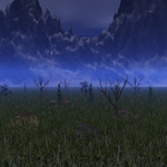Marsh 2