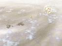 Space Port from space